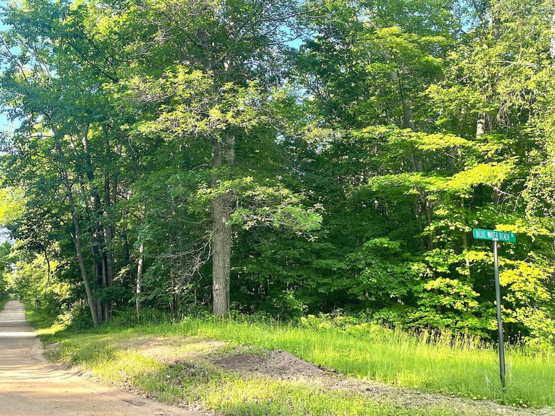 TBD Blue Water Beach Rd, Walker, MN 56484