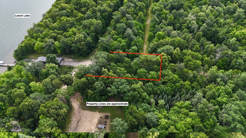 TBD Blue Water Beach Rd, Walker, MN 56484