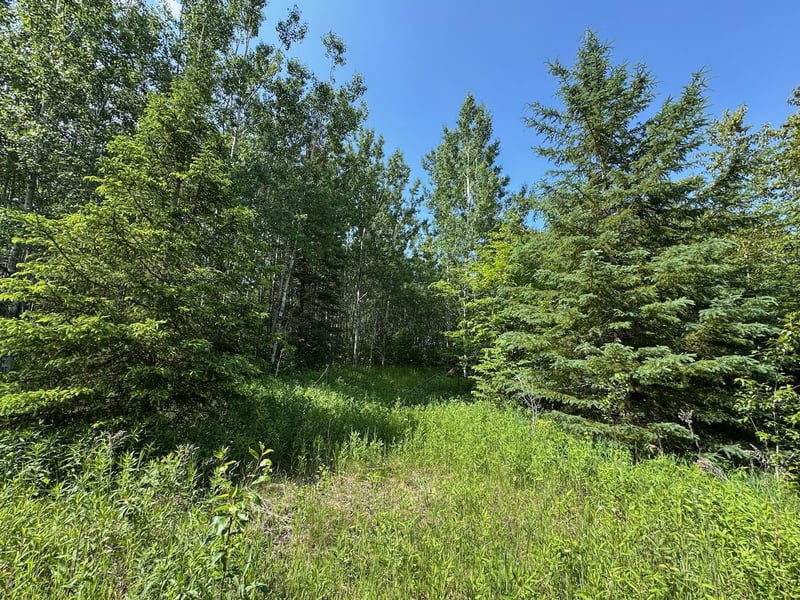 75a Hines Rd NE, Hines, MN 56647