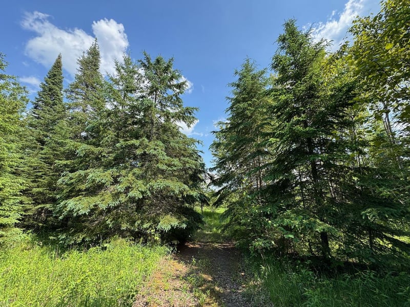 75a Hines Rd NE, Hines, MN 56647