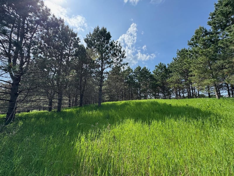 75a Hines Rd NE, Hines, MN 56647