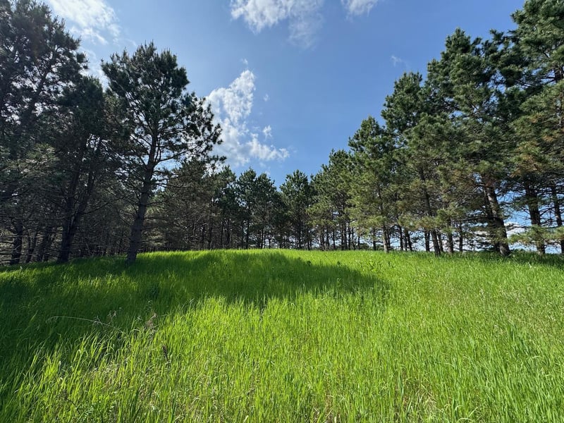 75a Hines Rd NE, Hines, MN 56647