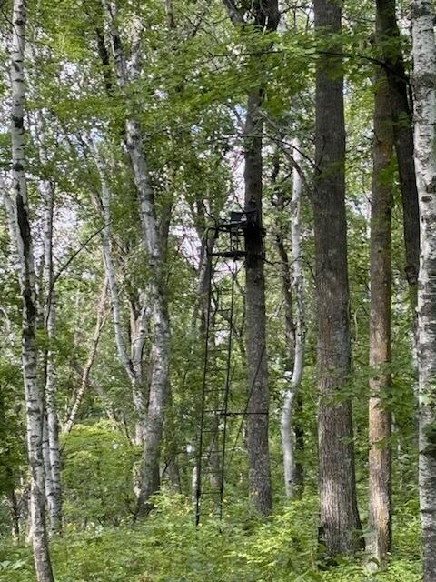 77 Acres Wickline Ln, Cross Lake, MN 56442