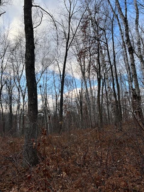 77 Acres Wickline Ln, Cross Lake, MN 56442