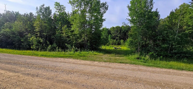 7755 Youngs Bay Dr NW, Angle Inlet, MN 56711