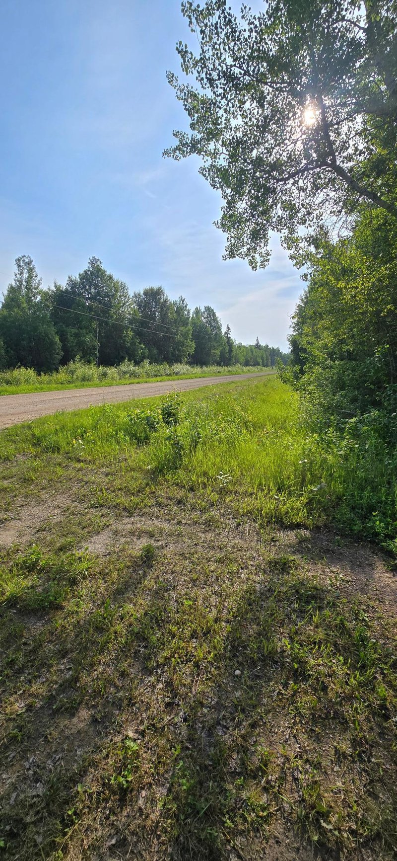 7755 Youngs Bay Dr NW, Angle Inlet, MN 56711