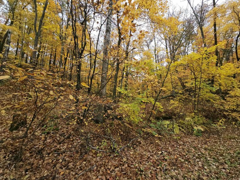 Lot 26 Block 1 Westward Ho, Garrison, MN 56450