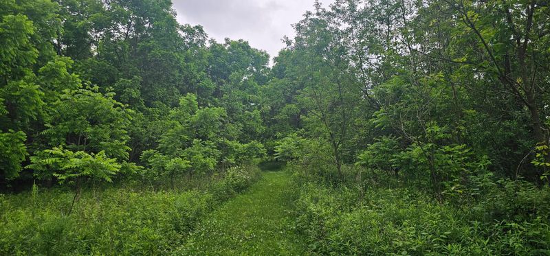 TBD Knutson Rd, Lanesboro, MN 55949