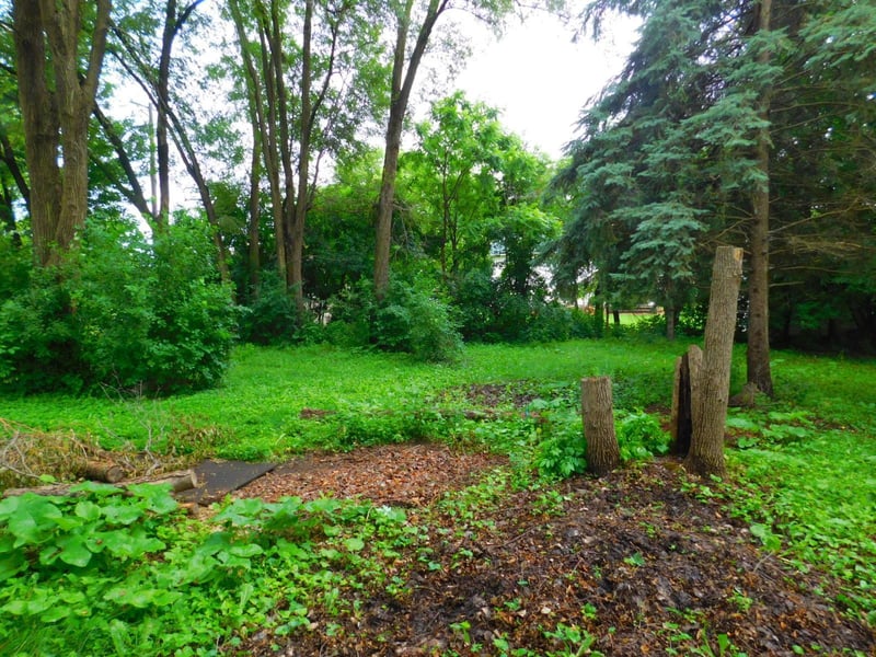 1033 3rd St, Saint Paul Park, MN 55071