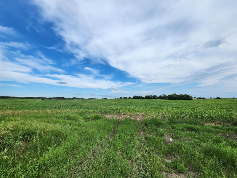 14XX1 Paul Avenue N Paul Ave N, Marine On Saint Croix, MN 55047