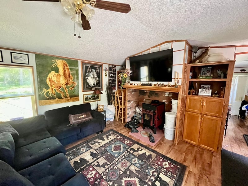 31700 Cherry Lake Rd, Ogema, MN 56569