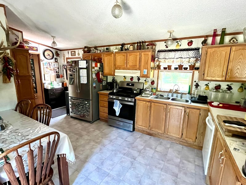 31700 Cherry Lake Rd, Ogema, MN 56569