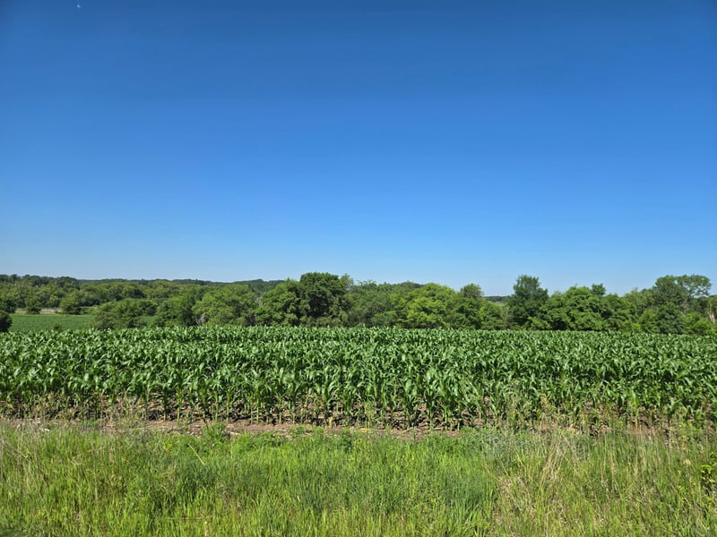 TBD County Hwy 83, Battle Lake, MN 56515