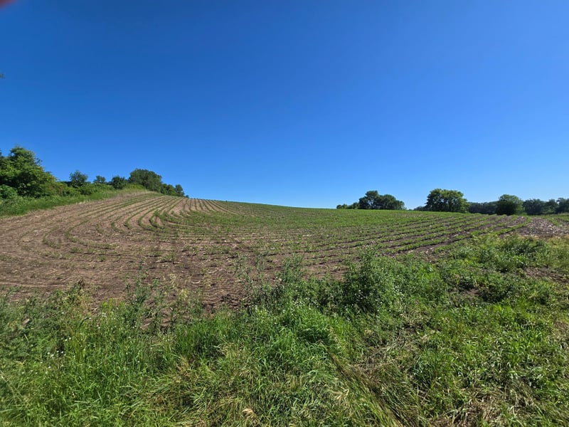 TBD County Hwy 83, Battle Lake, MN 56515