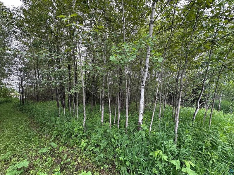 3938 E 5th St, Superior, WI 54880