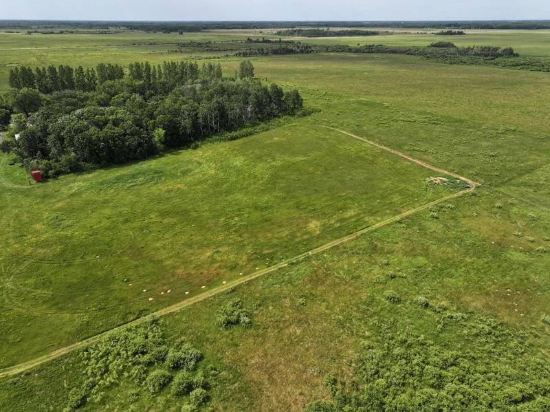 3796 300th St, Lake Bronson, MN 56734