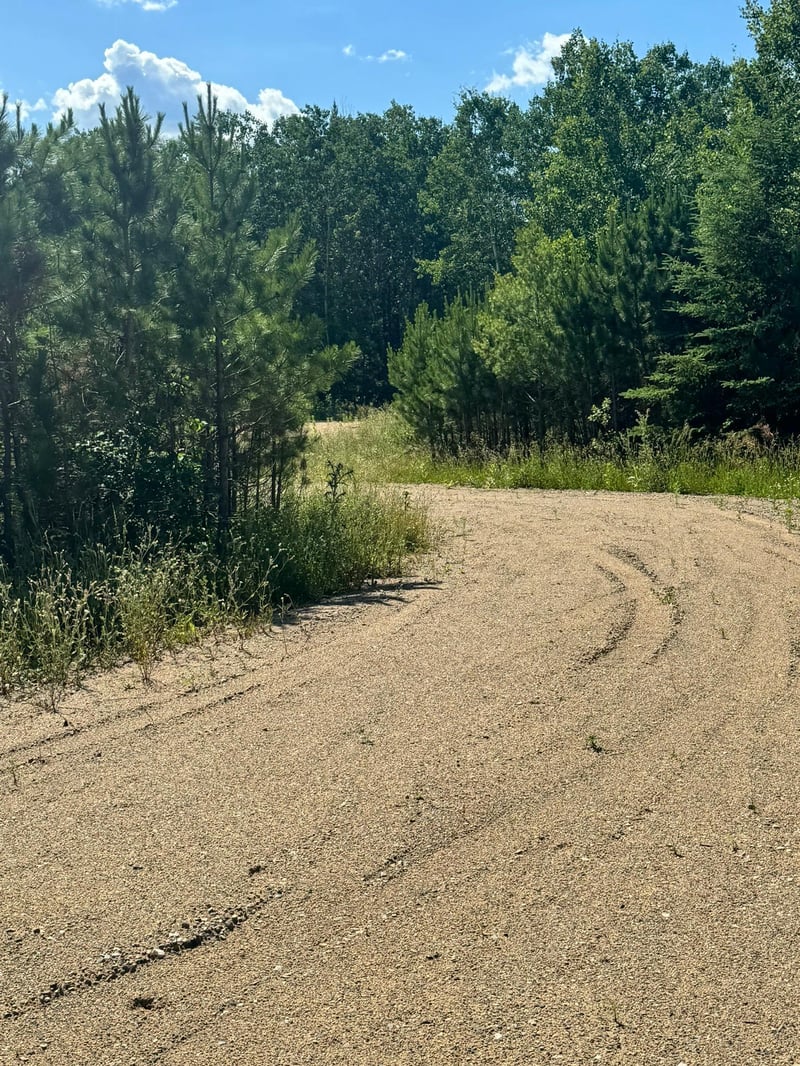 TBD Lot 7 Destination Dr, Nevis, MN 56467