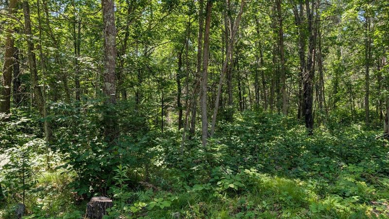 TBD 22nd St SW, Pine River, MN 56474