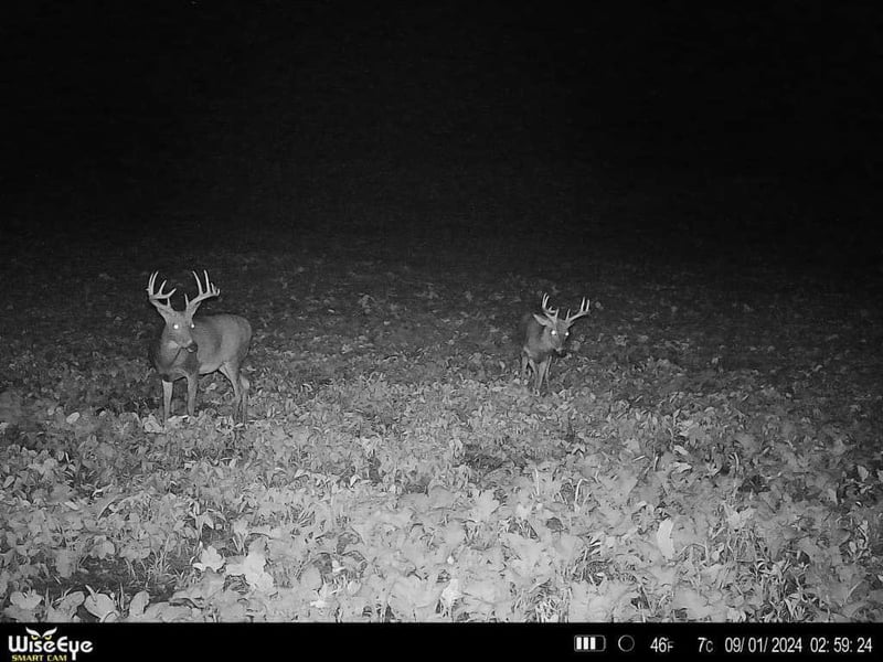 TBD 272nd St, Paynesville, MN 56362