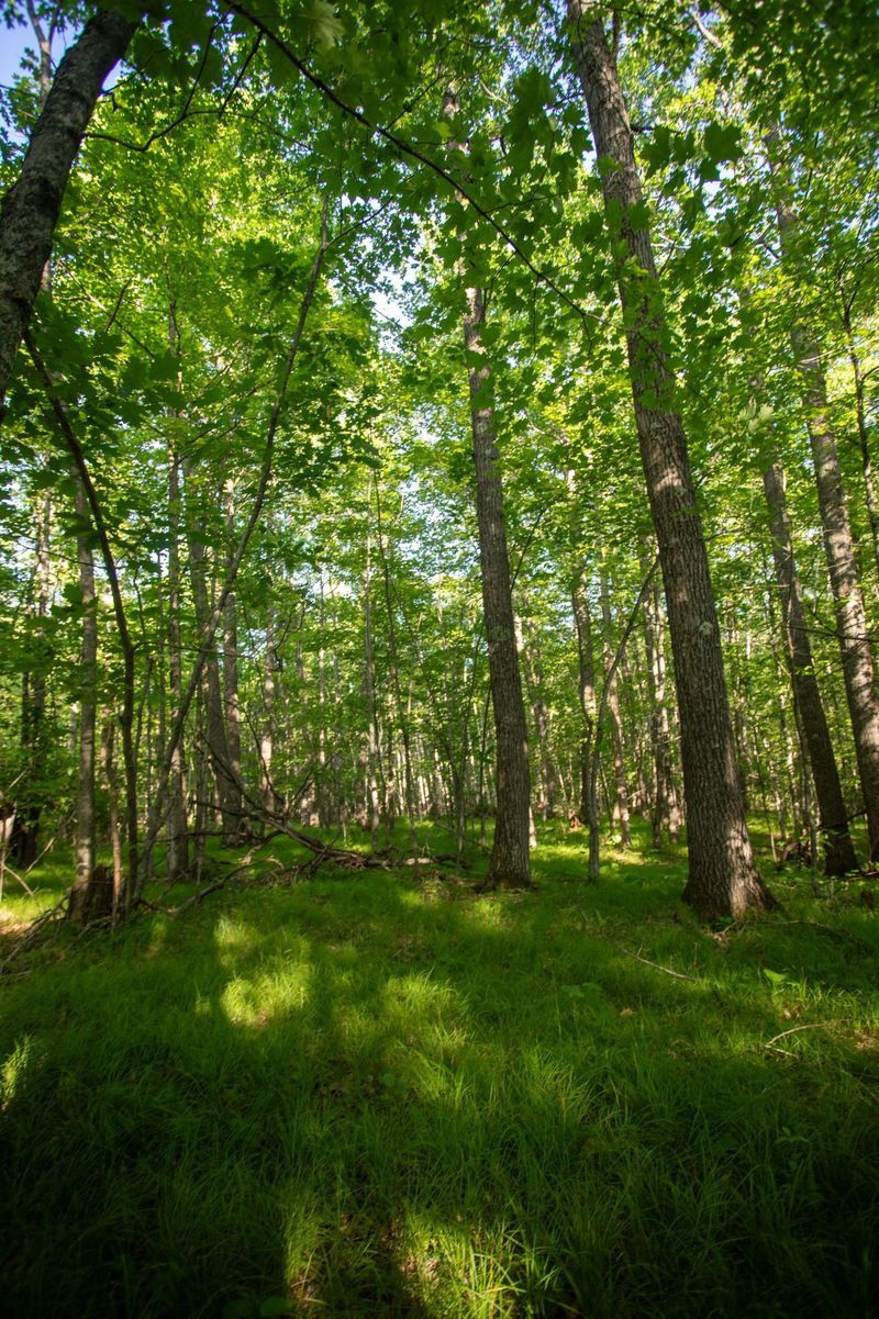 XXXX Moonlight Dr, Twin Lakes Twp, MN 55718