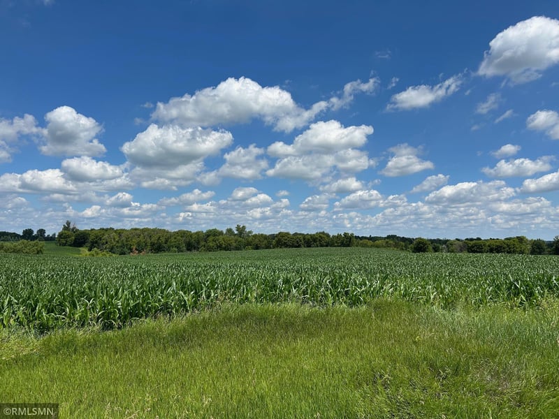 22130 97th Avenue North, Corcoran, MN 55374