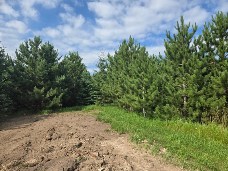 20332 County Highway 25, Detroit Lakes, MN 56501