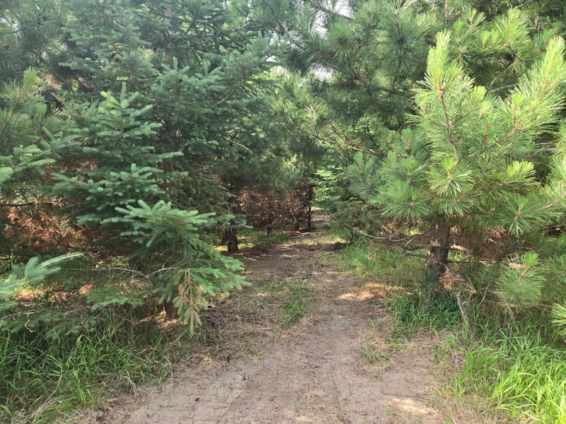 20332 County Highway 25, Detroit Lakes, MN 56501