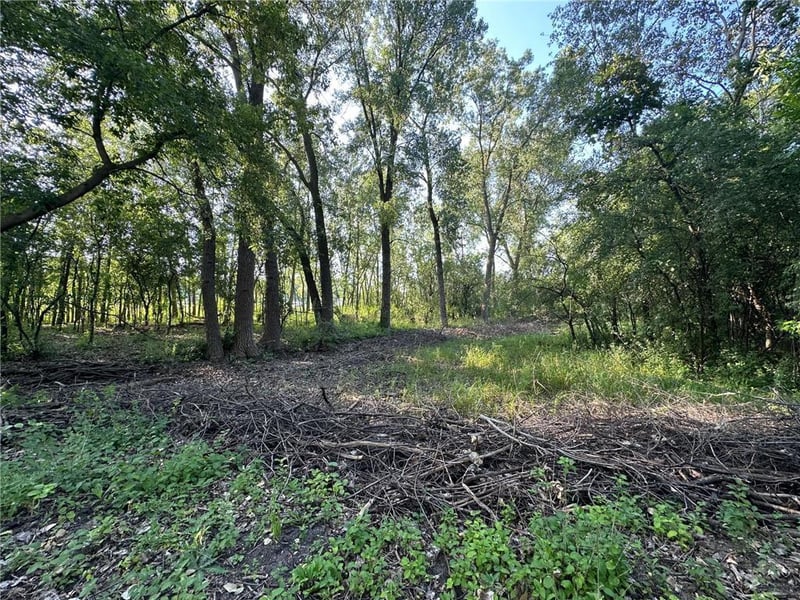 Lot 3 Block 1 Kenrick Ave, Lakeville, MN 55044