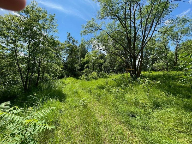 TBD River St, Pillager, MN 56473
