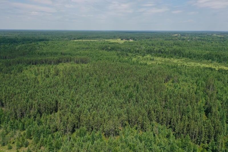 TBD Arkola Rd, Cotton, MN 55724