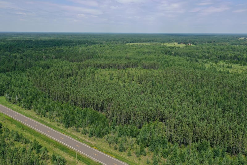 TBD Arkola Rd, Cotton, MN 55724