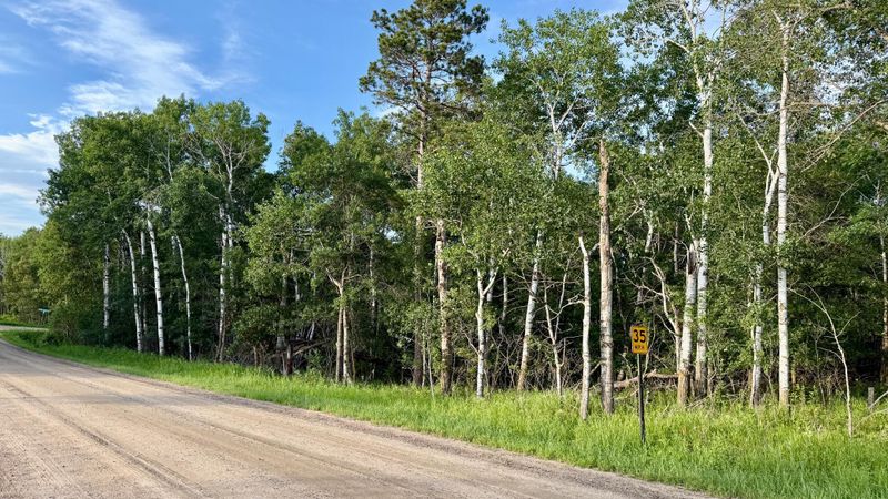 TBD Holly Rd, Park Rapids, MN 56470
