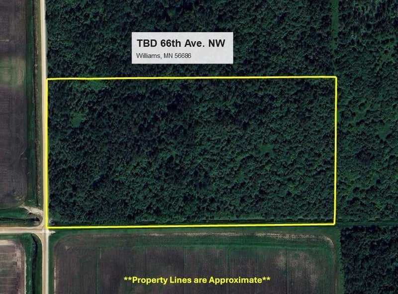 TBD 66th Ave NW, Williams, MN 56686