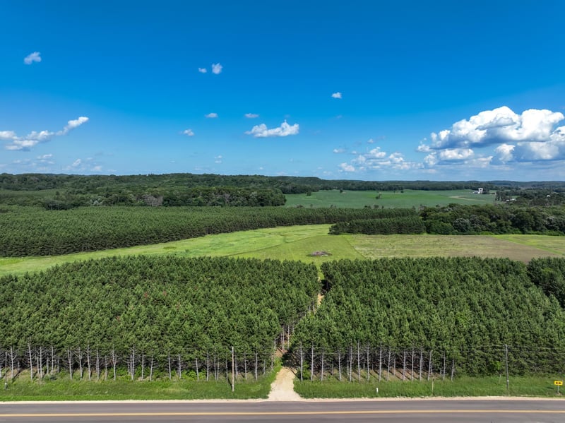 N13214 County Road Vv, Wheeler, WI 54772