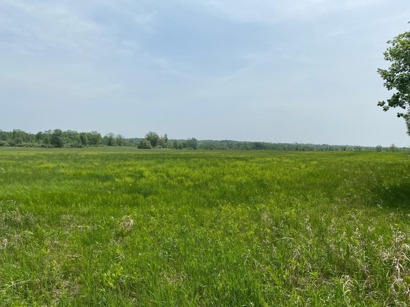 29xx S Finn Rd, Kettle River, MN 55757
