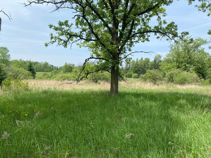29xx S Finn Rd, Kettle River, MN 55757