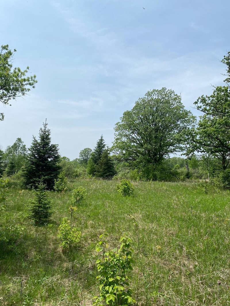 29xx S Finn Rd, Kettle River, MN 55757