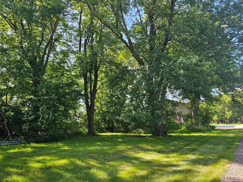 130 Grace Ave, Iona, MN 56141