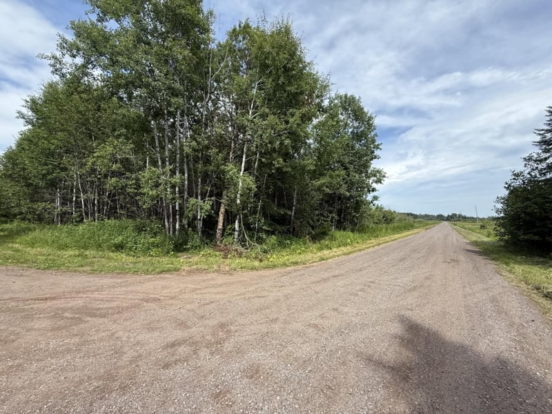 tbd Oestreich Rd, Wright, MN 55798
