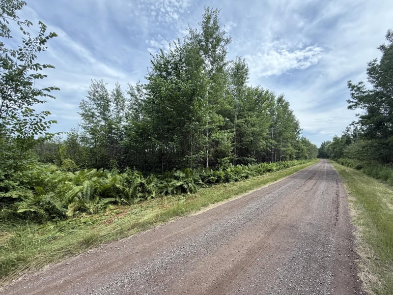 tbd Oestreich Rd, Wright, MN 55798