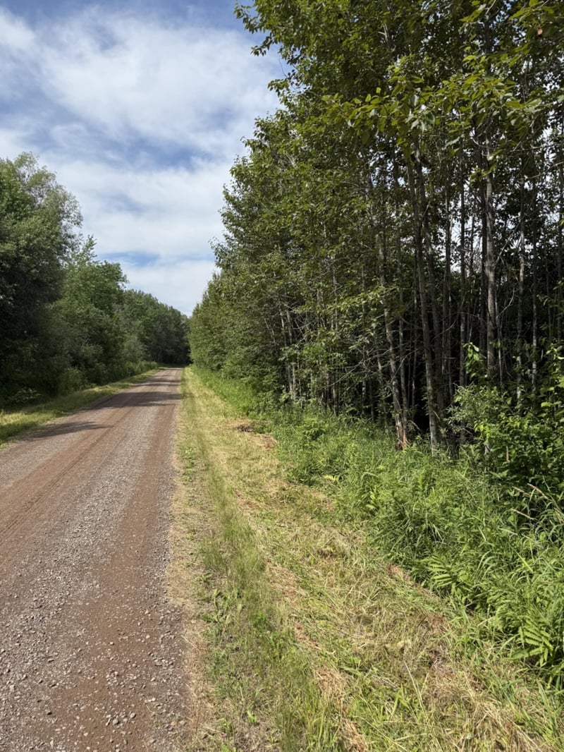 tbd Oestreich Rd, Wright, MN 55798