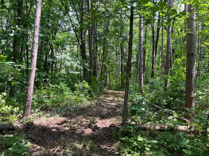 000 Cross Lake Rd, Pine City, MN 55063