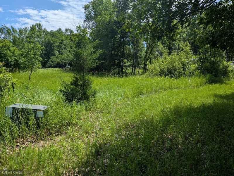 XXX 3rd Ave SW, Long Prairie, MN 56347