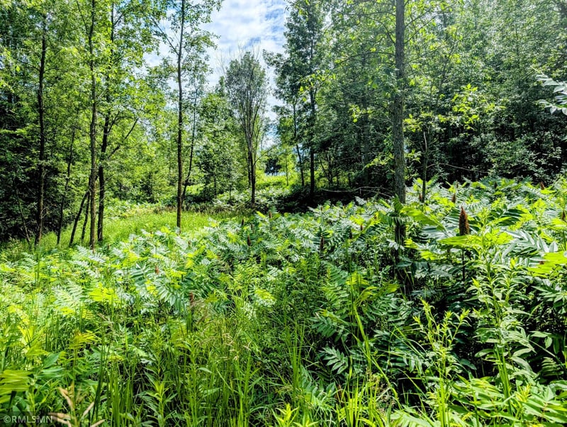XXX 3rd Ave SW, Long Prairie, MN 56347