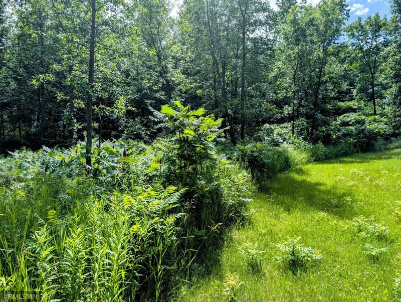 XXX 3rd Ave SW, Long Prairie, MN 56347