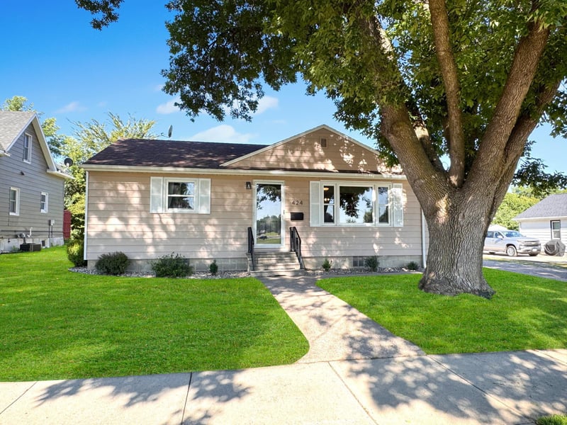 424 3rd Ave NE, Sleepy Eye, MN 56085