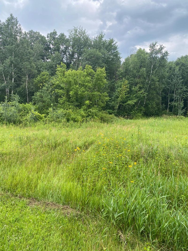 19xx 240th Ave, Eureka, WI 54024