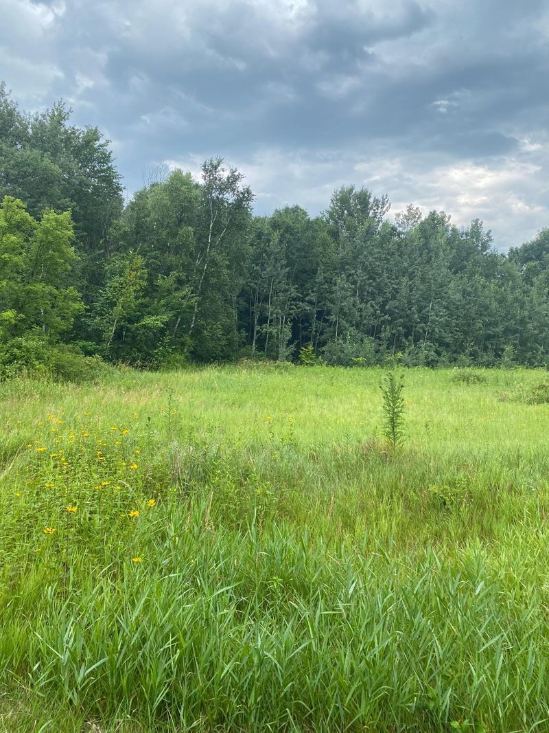 19xx 240th Ave, Eureka, WI 54024
