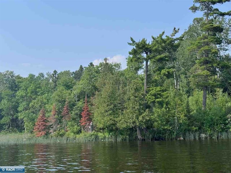 TBD Lake Vermilion N, Tower, MN 55790