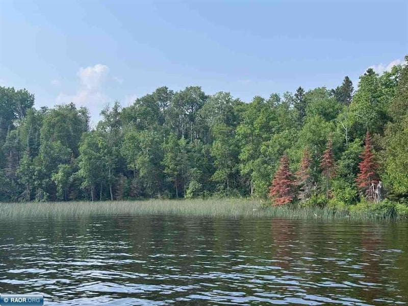 TBD Lake Vermilion N, Tower, MN 55790